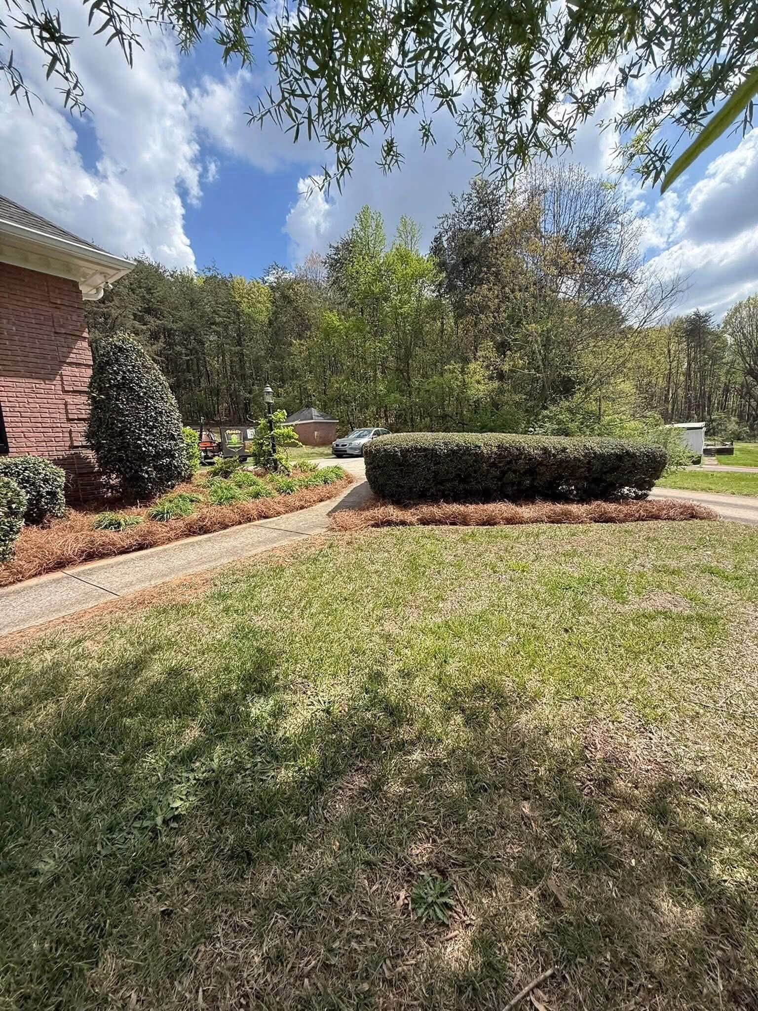 Hedge trimming and mulch bed maintenance